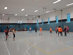 Voelkerball1